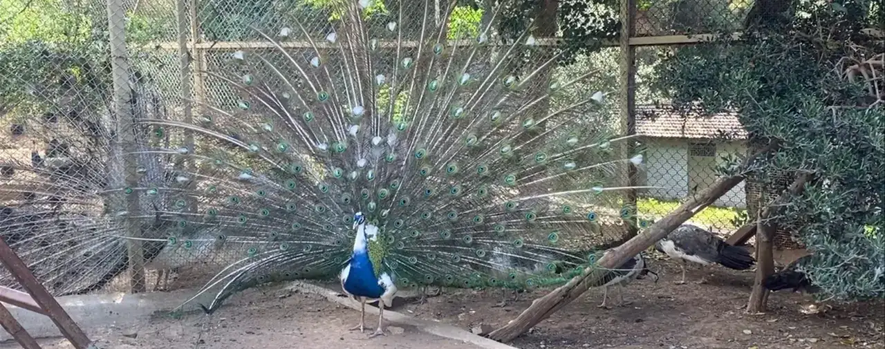 Antalya Büyükşehir Meclisi'nde İlginç Hibe! 2
